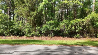 Buy a beautiful golf course lot and build your dream home in one on Harbour Point Golf Club in North Carolina - for sale on GolfHomes.com, golf home, golf lot