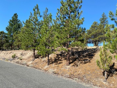 Ready to build your dream home with incredible vistas of Mt on Lake Shastina Golf Course in California - for sale on GolfHomes.com, golf home, golf lot