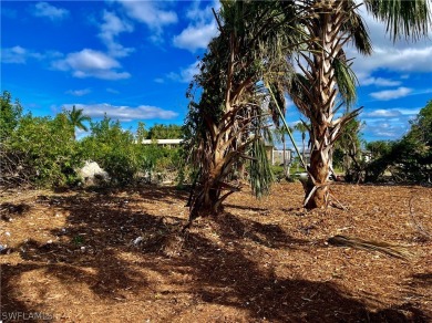NAVIGABLE, SAILBOAT ACCESS WATER!! This property is situated on on Twin Isles Country Club in Florida - for sale on GolfHomes.com, golf home, golf lot