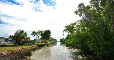 NAVIGABLE, SAILBOAT ACCESS WATER!! This property is situated on on Twin Isles Country Club in Florida - for sale on GolfHomes.com, golf home, golf lot