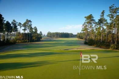 LAKEFRONT Gold Fortified Home located in Upscale Lake Osprey RV on Soldiers Creek Golf Club At Woerner Preserve in Alabama - for sale on GolfHomes.com, golf home, golf lot