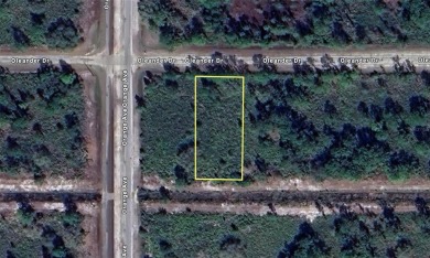 Come build your forever home on this one-half acre lot located on Indian Lake Estates Golf and Country Club in Florida - for sale on GolfHomes.com, golf home, golf lot