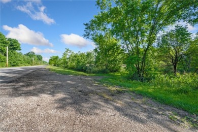 5.49-acre lot located in Hudson near Ellsworth Meadows Golf Club on Ellsworth Meadows Golf Club in Ohio - for sale on GolfHomes.com, golf home, golf lot