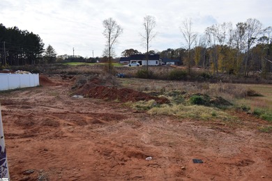 *Late Oct 2025 - Home is currently in Framing* Call The Clayton on Village Greens Country Club in South Carolina - for sale on GolfHomes.com, golf home, golf lot