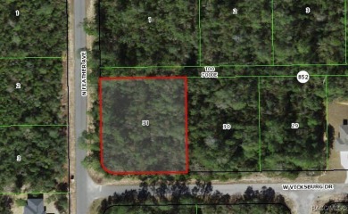Oversized, corner homesite in Citrus Springs offering an on Pine Ridge Community Golf and Country Club in Florida - for sale on GolfHomes.com, golf home, golf lot