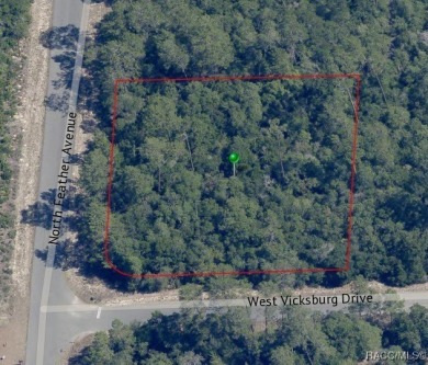Oversized, corner homesite in Citrus Springs offering an on Pine Ridge Community Golf and Country Club in Florida - for sale on GolfHomes.com, golf home, golf lot