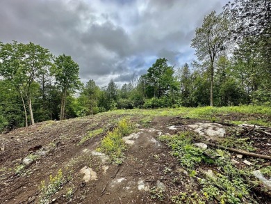 Great opportunity to build a new home in a private, wooded on Cedar Knoll Country Club in Vermont - for sale on GolfHomes.com, golf home, golf lot