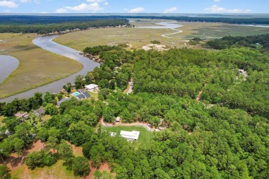 4.22 acres close to desirable Shellman Bluff across the street on Sapelo Hammock Golf Club in Georgia - for sale on GolfHomes.com, golf home, golf lot