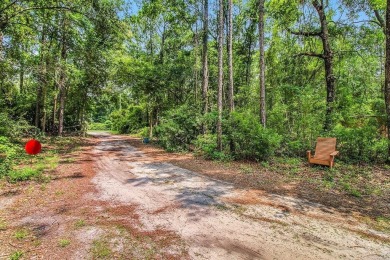 4.22 acres close to desirable Shellman Bluff across the street on Sapelo Hammock Golf Club in Georgia - for sale on GolfHomes.com, golf home, golf lot