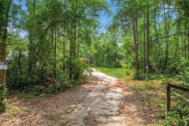 4.22 acres close to desirable Shellman Bluff across the street on Sapelo Hammock Golf Club in Georgia - for sale on GolfHomes.com, golf home, golf lot