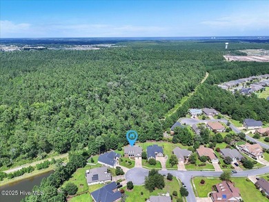 Tucked away on a quiet cul-de-sac in sought after Brunswick on Cape Fear National At Brunswick Forest in North Carolina - for sale on GolfHomes.com, golf home, golf lot