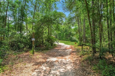 4.22 acres close to desirable Shellman Bluff across the street on Sapelo Hammock Golf Club in Georgia - for sale on GolfHomes.com, golf home, golf lot
