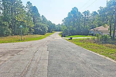 Great opportunity to own a 0.23 acre homesite in Citrus Springs on Pine Ridge Community Golf and Country Club in Florida - for sale on GolfHomes.com, golf home, golf lot