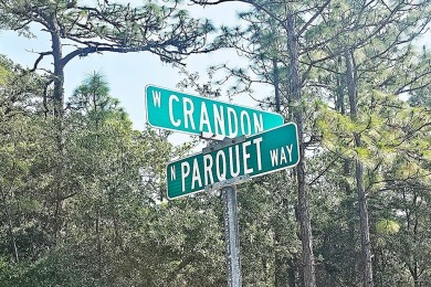 Great opportunity to own a 0.23 acre homesite in Citrus Springs on Pine Ridge Community Golf and Country Club in Florida - for sale on GolfHomes.com, golf home, golf lot