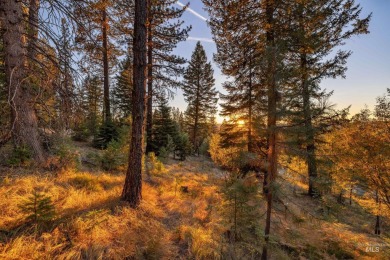 Perched atop scenic Aspen Ridge, this rare one-acre homesite on McCall Municipal Golf Course in Idaho - for sale on GolfHomes.com, golf home, golf lot