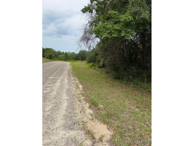 Build your dream home on this beautiful quarter acre lot in a on Citrus Springs Country Club in Florida - for sale on GolfHomes.com, golf home, golf lot
