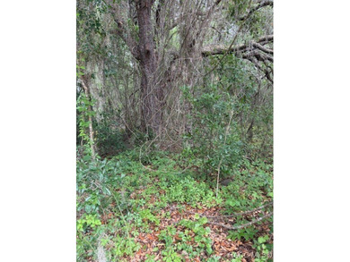 Build your dream home on this beautiful quarter acre lot in a on Citrus Springs Country Club in Florida - for sale on GolfHomes.com, golf home, golf lot