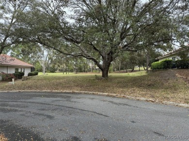 Build your dream home on this spacious 11,749 sq ft homesite in on Black Diamond Ranch Golf Course in Florida - for sale on GolfHomes.com, golf home, golf lot