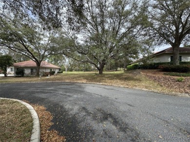 Build your dream home on this spacious 11,749 sq ft homesite in on Black Diamond Ranch Golf Course in Florida - for sale on GolfHomes.com, golf home, golf lot