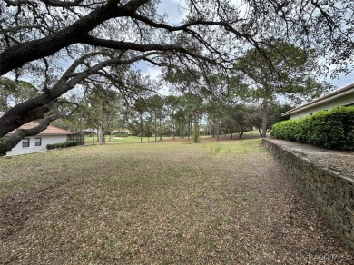 Build your dream home on this spacious 11,749 sq ft homesite in on Black Diamond Ranch Golf Course in Florida - for sale on GolfHomes.com, golf home, golf lot