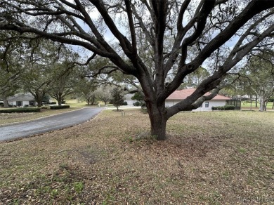 Build your dream home on this spacious 11,749 sq ft homesite in on Black Diamond Ranch Golf Course in Florida - for sale on GolfHomes.com, golf home, golf lot