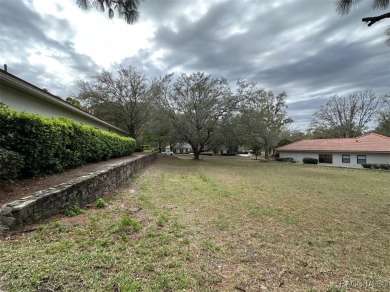 Build your dream home on this spacious 11,749 sq ft homesite in on Black Diamond Ranch Golf Course in Florida - for sale on GolfHomes.com, golf home, golf lot