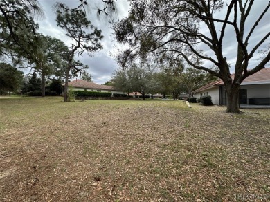 Build your dream home on this spacious 11,749 sq ft homesite in on Black Diamond Ranch Golf Course in Florida - for sale on GolfHomes.com, golf home, golf lot