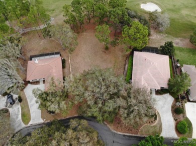 Build your dream home on this spacious 11,749 sq ft homesite in on Black Diamond Ranch Golf Course in Florida - for sale on GolfHomes.com, golf home, golf lot