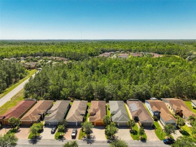 New Price!! Motivated Seller!! A must see Solivita golf cart on Stonegate Golf Club in Florida - for sale on GolfHomes.com, golf home, golf lot