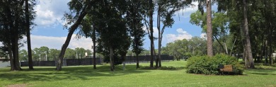 Tucked-Away Treasure - Updated & Move-In Ready for Just $50,000! on Rolling Greens Executive Golf Community in Florida - for sale on GolfHomes.com, golf home, golf lot