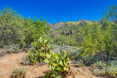 Come and experience the highly sought after Canyon View at on The Lodge at Ventana Canyon - Canyon  in Arizona - for sale on GolfHomes.com, golf home, golf lot