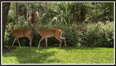 You must see this Beautiful turnkey-furnished 2 bedroom, top on Cedar Hammock Golf and Country Club in Florida - for sale on GolfHomes.com, golf home, golf lot
