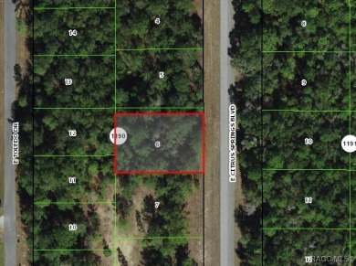 Just over 1/3rd acre homesite in Citrus Springs offering an on Citrus Springs Country Club in Florida - for sale on GolfHomes.com, golf home, golf lot
