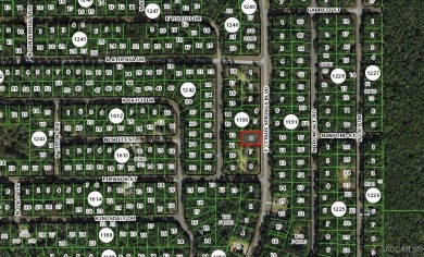 Just over 1/3rd acre homesite in Citrus Springs offering an on Citrus Springs Country Club in Florida - for sale on GolfHomes.com, golf home, golf lot