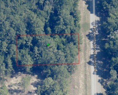 Just over 1/3rd acre homesite in Citrus Springs offering an on Citrus Springs Country Club in Florida - for sale on GolfHomes.com, golf home, golf lot