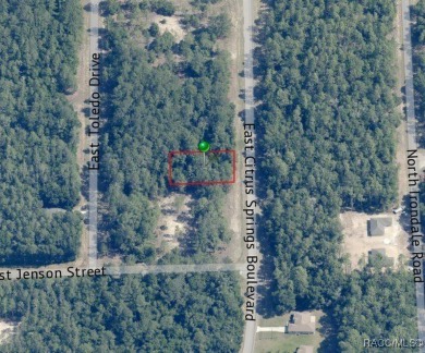 Just over 1/3rd acre homesite in Citrus Springs offering an on Citrus Springs Country Club in Florida - for sale on GolfHomes.com, golf home, golf lot