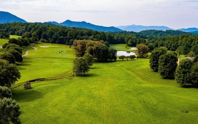 LAKE CHATUGE VIEWS PLUS LUXURY GOLF COURSE LIVING IN THE NORTH on Mountain Harbour Golf Club in North Carolina - for sale on GolfHomes.com, golf home, golf lot