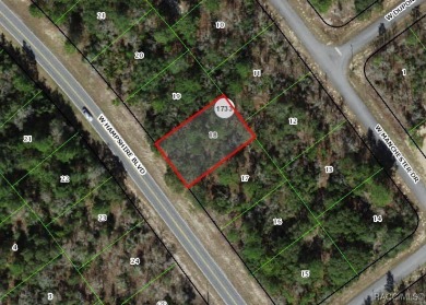 Picturesque homesite in Citrus Springs offering an incredible on Citrus Springs Country Club in Florida - for sale on GolfHomes.com, golf home, golf lot