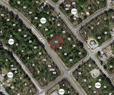 Picturesque homesite in Citrus Springs offering an incredible on Citrus Springs Country Club in Florida - for sale on GolfHomes.com, golf home, golf lot