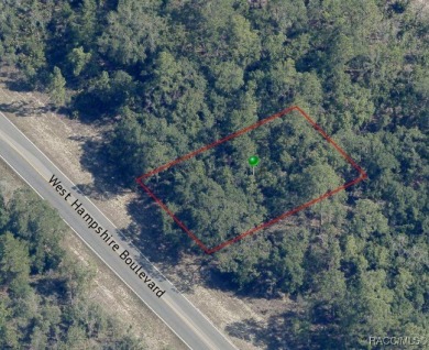 Picturesque homesite in Citrus Springs offering an incredible on Citrus Springs Country Club in Florida - for sale on GolfHomes.com, golf home, golf lot