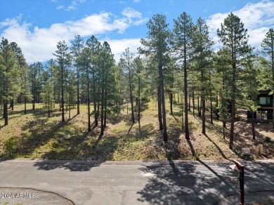 Please see the attached documents showing the topo survey on Pine Canyon Golf Course in Arizona - for sale on GolfHomes.com, golf home, golf lot