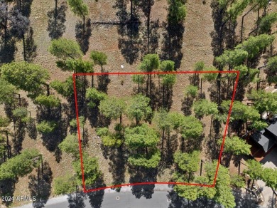 Please see the attached documents showing the topo survey on Pine Canyon Golf Course in Arizona - for sale on GolfHomes.com, golf home, golf lot