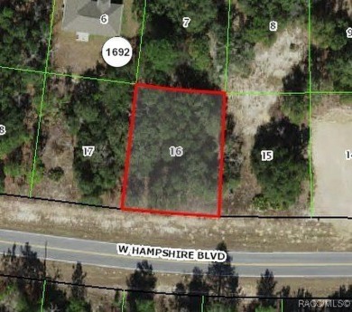 Oversized quarter-acre homesite in Citrus Springs offering an on Citrus Springs Country Club in Florida - for sale on GolfHomes.com, golf home, golf lot