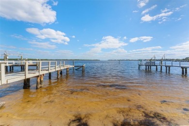 Discover unparalleled waterfront living with expansive views of on Mangrove Bay Golf Course in Florida - for sale on GolfHomes.com, golf home, golf lot