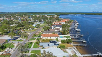 Discover unparalleled waterfront living with expansive views of on Mangrove Bay Golf Course in Florida - for sale on GolfHomes.com, golf home, golf lot