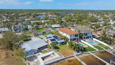 Discover unparalleled waterfront living with expansive views of on Mangrove Bay Golf Course in Florida - for sale on GolfHomes.com, golf home, golf lot