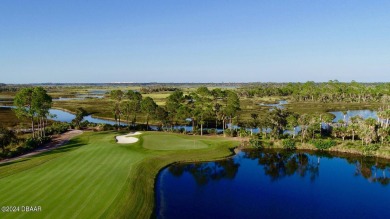 PRICE REDUCTION and BRAND NEW ROOF in April 2024!!!  Located in on Hammock Dunes Club in Florida - for sale on GolfHomes.com, golf home, golf lot