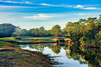 This high and dry lot overlooks a pond and the 12th green on St. James Bay in Florida - for sale on GolfHomes.com, golf home, golf lot