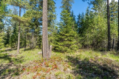 This golf course lot offers an excellent opportunity for on Chewelah Golf and Country Club  in Washington - for sale on GolfHomes.com, golf home, golf lot