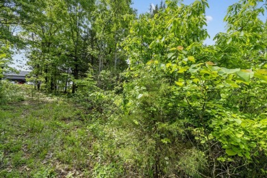 Live the Lake Life You've Always Dreamed Of!Why settle when you on Kimberling City Golf Club in Missouri - for sale on GolfHomes.com, golf home, golf lot